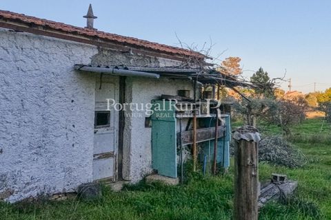 Terra a Alcains, Castelo Branco, Alcains - € 150.000 | Ref: IM208 - foto 22