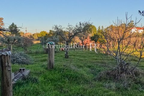 Terra a Alcains, Castelo Branco, Alcains - € 150.000 | Ref: IM208 - foto 23