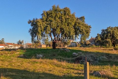 Terra a Alcains, Castelo Branco, Alcains - € 150.000 | Ref: IM208 - foto 3