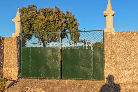 Terra a Alcains, Castelo Branco, Alcains - € 150.000 | Ref: IM208 - foto 4