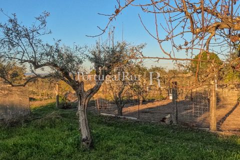Terra a Alcains, Castelo Branco, Alcains - € 150.000 | Ref: IM208 - foto 26