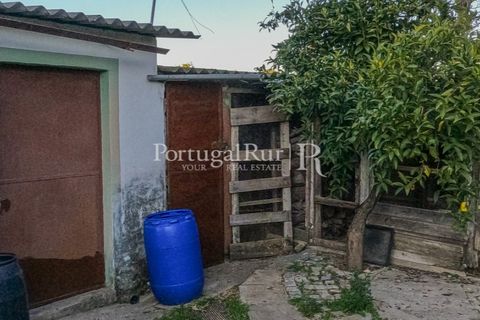 Terra a Alcains, Castelo Branco, Alcains - € 150.000 | Ref: IM208 - foto 28