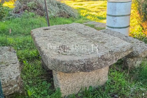Terra a Alcains, Castelo Branco, Alcains - € 150.000 | Ref: IM208 - foto 29