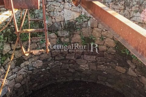 Terra a Alcains, Castelo Branco, Alcains - € 150.000 | Ref: IM208 - foto 31