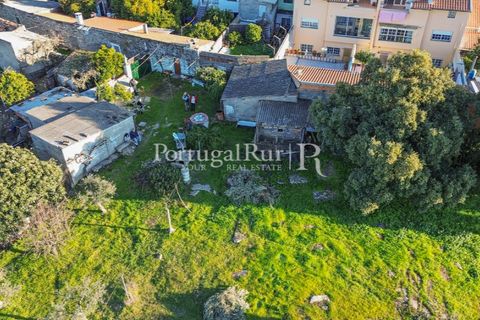 Terra a Alcains, Castelo Branco, Alcains - € 150.000 | Ref: IM208 - foto 32