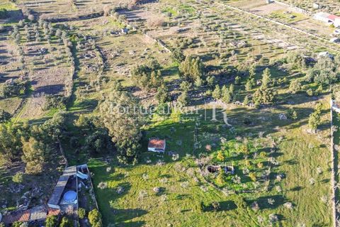 Terra a Alcains, Castelo Branco, Alcains - € 150.000 | Ref: IM208 - foto 33