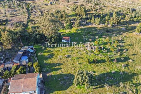 Terra a Alcains, Castelo Branco, Alcains - € 150.000 | Ref: IM208 - foto 34