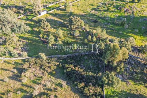 Terra a Alcains, Castelo Branco, Alcains - € 150.000 | Ref: IM208 - foto 35