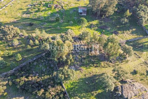 Terra a Alcains, Castelo Branco, Alcains - € 150.000 | Ref: IM208 - foto 36