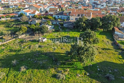 Terra a Alcains, Castelo Branco, Alcains - € 150.000 | Ref: IM208 - foto 37
