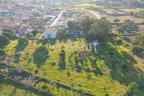 Terra a Alcains, Castelo Branco, Alcains - € 150.000 | Ref: IM208 - foto 38