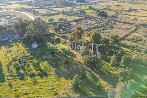 Terra a Alcains, Castelo Branco, Alcains - € 150.000 | Ref: IM208 - foto 39