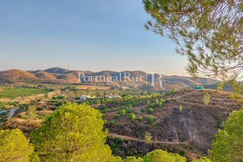 Landejendom i Silves, Faro, Silves - € 7.900.000 | Ref: JF756 - foto 4