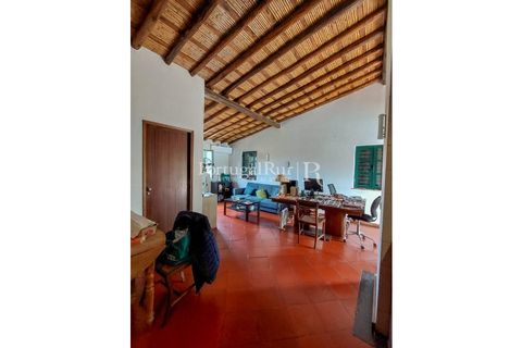 Landejendom i Silves, Faro, Silves - € 7.900.000 | Ref: JF756 - foto 29