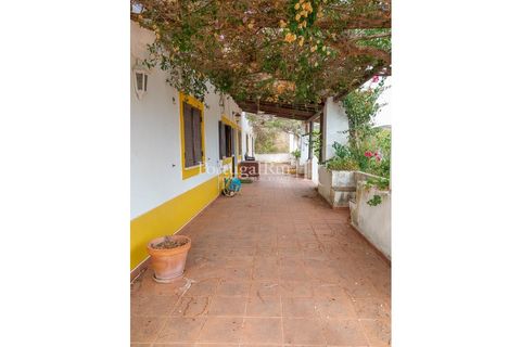 Landejendom i Silves, Faro, Silves - € 7.900.000 | Ref: JF756 - foto 31