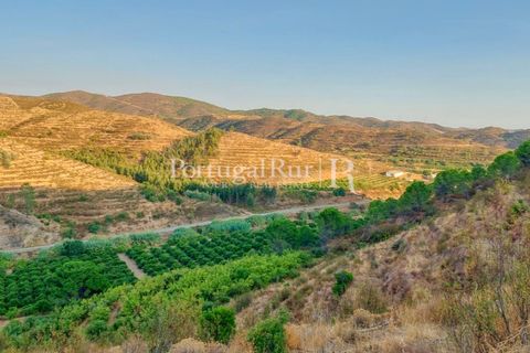 Landejendom i Silves, Faro, Silves - € 7.900.000 | Ref: JF756 - foto 40