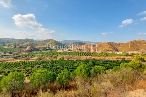 Landejendom i Silves, Faro, Silves - € 7.900.000 | Ref: JF756 - foto 42