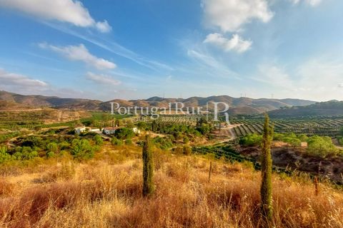 Landejendom i Silves, Faro, Silves - € 7.900.000 | Ref: JF756 - foto 44