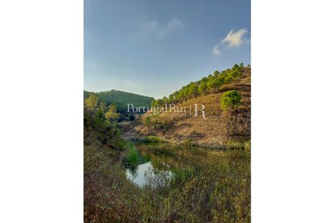 Landejendom i Silves, Faro, Silves - € 7.900.000 | Ref: JF756 - foto 45