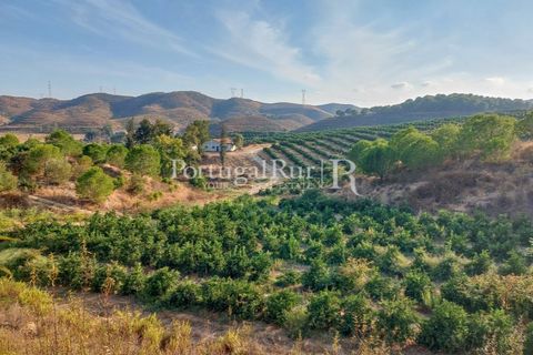 Landejendom i Silves, Faro, Silves - € 7.900.000 | Ref: JF756 - foto 46