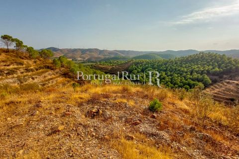 Landejendom i Silves, Faro, Silves - € 7.900.000 | Ref: JF756 - foto 47
