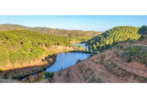 Landejendom i Silves, Faro, Silves - € 7.900.000 | Ref: JF756 - foto 48