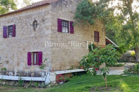Gård i Alcains, Castelo Branco, Alcains - € 470 000 | Ref: JF309 - foto 26