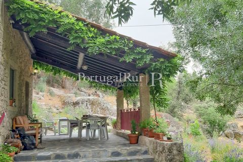 Gård i Alcains, Castelo Branco, Alcains - € 470 000 | Ref: JF309 - foto 9