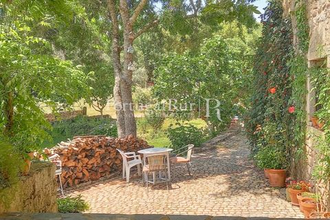Gård i Alcains, Castelo Branco, Alcains - € 470 000 | Ref: JF309 - foto 8