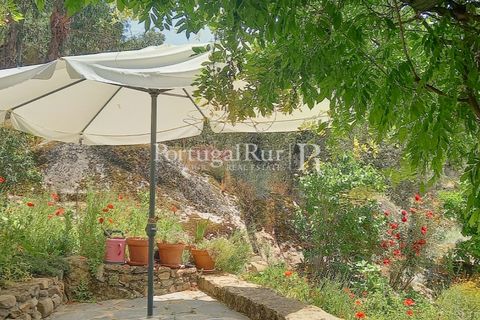 Gård i Alcains, Castelo Branco, Alcains - € 470 000 | Ref: JF309 - foto 23