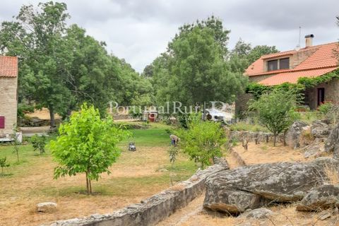 Gård i Alcains, Castelo Branco, Alcains - € 470 000 | Ref: JF309 - foto 25