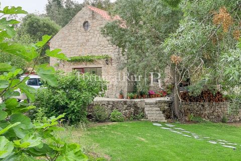 Gård i Alcains, Castelo Branco, Alcains - € 470 000 | Ref: JF309 - foto 6