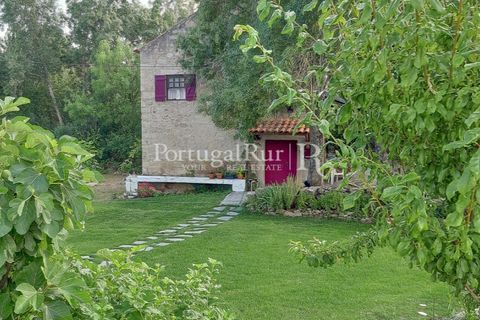 Gård i Alcains, Castelo Branco, Alcains - € 470 000 | Ref: JF309 - foto 27