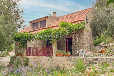 Gård i Alcains, Castelo Branco, Alcains - € 470 000 | Ref: JF309 - foto 2