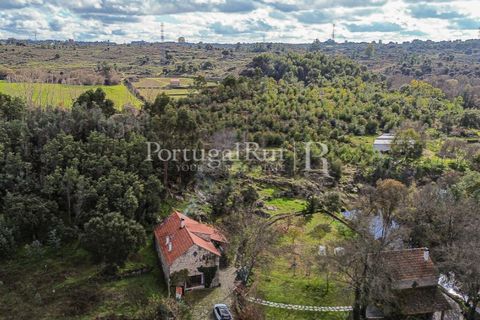 Gård i Alcains, Castelo Branco, Alcains - € 470 000 | Ref: JF309 - foto 3