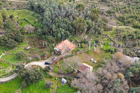 Gård i Alcains, Castelo Branco, Alcains - € 470 000 | Ref: JF309 - foto 4