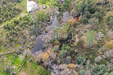 Gård i Alcains, Castelo Branco, Alcains - € 470 000 | Ref: JF309 - foto 36