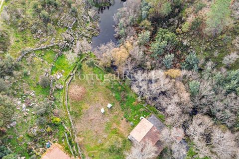 Gård i Alcains, Castelo Branco, Alcains - € 470 000 | Ref: JF309 - foto 37