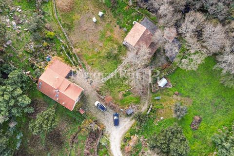 Gård i Alcains, Castelo Branco, Alcains - € 470 000 | Ref: JF309 - foto 38