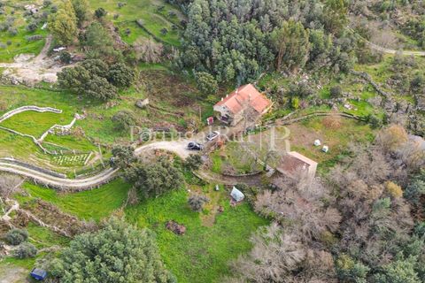 Gård i Alcains, Castelo Branco, Alcains - € 470 000 | Ref: JF309 - foto 39