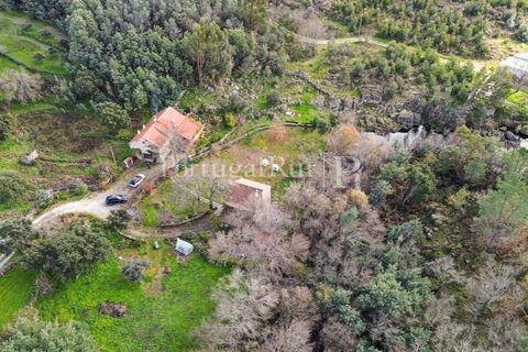 Gård i Alcains, Castelo Branco, Alcains - € 470 000 | Ref: JF309 - foto 40