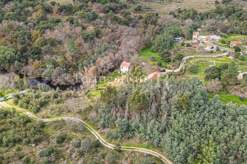 Gård i Alcains, Castelo Branco, Alcains - € 470 000 | Ref: JF309 - foto 41