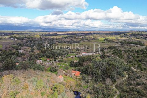 Gård i Alcains, Castelo Branco, Alcains - € 470 000 | Ref: JF309 - foto 42