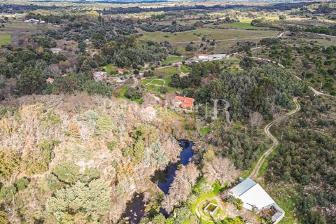 Gård i Alcains, Castelo Branco, Alcains - € 470 000 | Ref: JF309 - foto 43