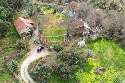 Gård i Alcains, Castelo Branco, Alcains - € 470 000 | Ref: JF309 - foto 44