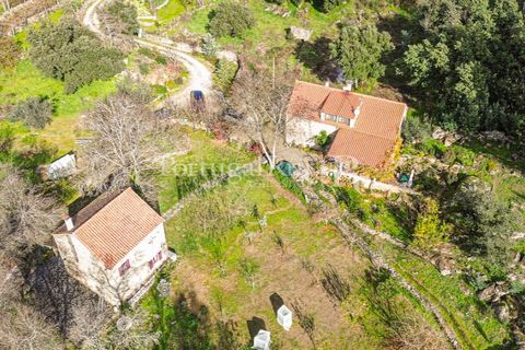 Gård i Alcains, Castelo Branco, Alcains - € 470 000 | Ref: JF309 - foto 45