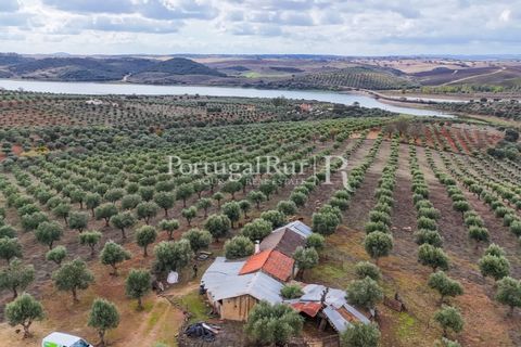 Landejendom i Alandroal, Evora, Alandroal - € 425.000 | Ref: FG53 - foto 6