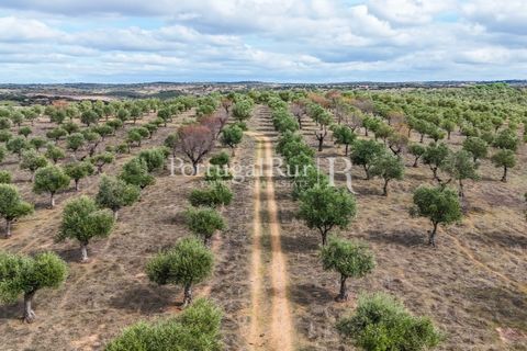 Landejendom i Alandroal, Evora, Alandroal - € 425.000 | Ref: FG53 - foto 8