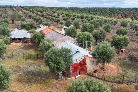 Landejendom i Alandroal, Evora, Alandroal - € 425.000 | Ref: FG53 - foto 9