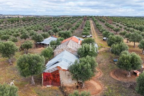 Landejendom i Alandroal, Evora, Alandroal - € 425.000 | Ref: FG53 - foto 11